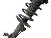 Amortiguador delantero con muelle espiral