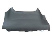 Airbag genoux