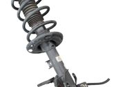 Front shock absorber with coil spring