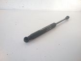 Tailgate/trunk strut/damper
