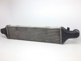 Intercooler radiator