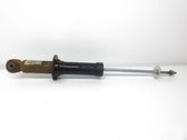 Stoßdämpfer hinten