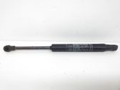 Tailgate/trunk strut/damper