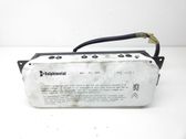 Beifahrerairbag