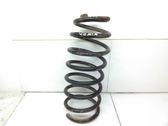 Front coil spring