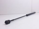 Tailgate/trunk strut/damper