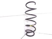 Front coil spring