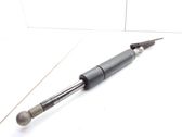 Tailgate/trunk strut/damper