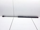 Tailgate/trunk strut/damper