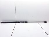 Tailgate/trunk strut/damper