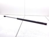 Tailgate/trunk strut/damper