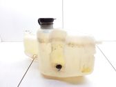 Lamp washer fluid tank