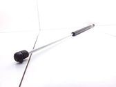 Tailgate/trunk strut/damper