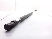 Tailgate/trunk strut/damper