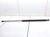 Tailgate/trunk strut/damper