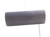 Airbag del pasajero