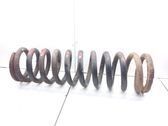 Front coil spring