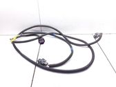 Other wiring loom