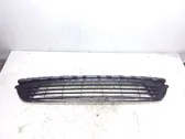 Front bumper lower grill