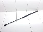 Tailgate/trunk strut/damper
