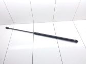 Tailgate/trunk strut/damper