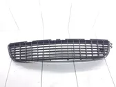 Front bumper lower grill