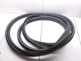 Trunk rubber seal (body)