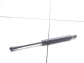 Tailgate/trunk strut/damper