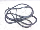 Rear door rubber seal (on body)