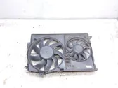 Electric radiator cooling fan