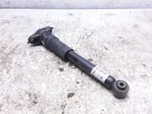 Rear shock absorber/damper