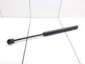 Tailgate/trunk strut/damper
