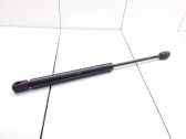 Tailgate/trunk strut/damper