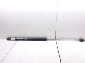 Tailgate/trunk strut/damper