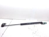 Tailgate/trunk strut/damper