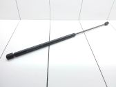 Tailgate/trunk strut/damper