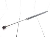 Tailgate/trunk strut/damper