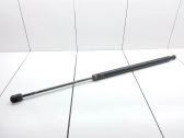 Tailgate/trunk strut/damper
