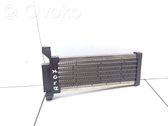 Electric cabin heater radiator