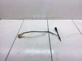 Interior temperature sensor