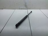 Tailgate/trunk strut/damper