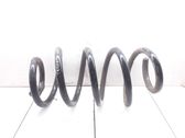 Front coil spring