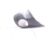 Verkleidung Nebelscheinwerfer / Gitter vorne