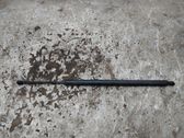 Tailgate/trunk strut/damper