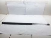 Tailgate/trunk strut/damper