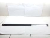Tailgate/trunk strut/damper