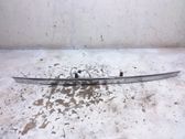 Trunk door license plate light bar