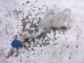 Windshield washer fluid reservoir/tank