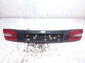 Trunk door license plate light bar