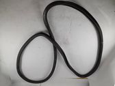 Rear door rubber seal (on body)